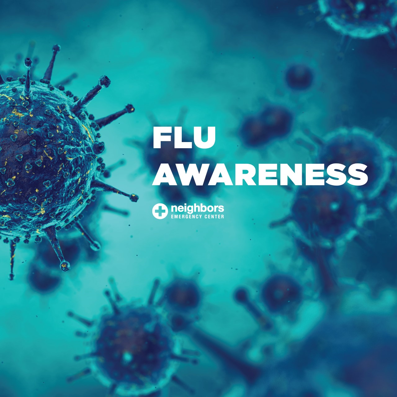 Flu blog